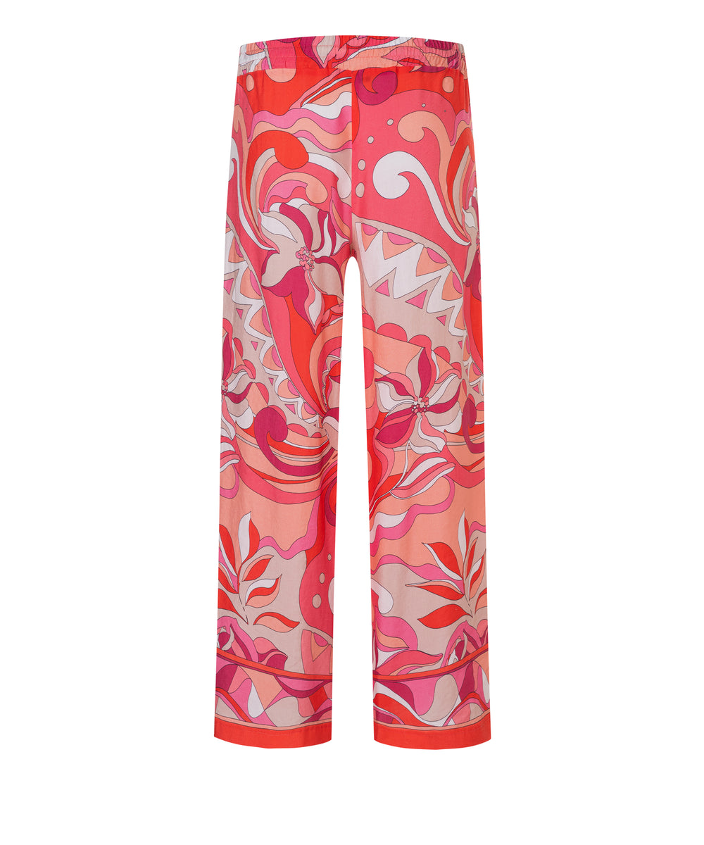 August cropped, 891 Bild 2