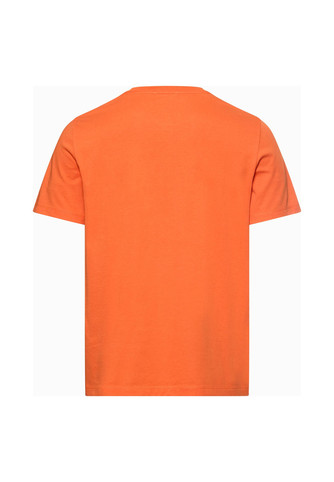T-shirts 1/2 sleeves, Burned Orange 66 Bild 2