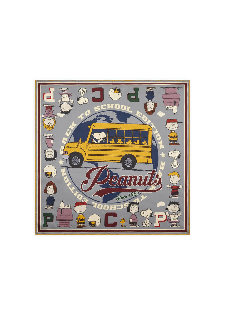 PRINTED NICKI PEANUTS BACK TO SCHOOL grau-53X53CM, grau GRY2 Bild 2