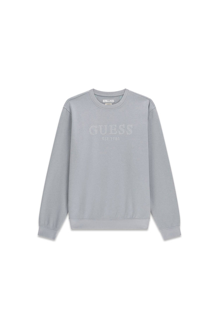 CN CLASSIC LOGO SWEATSHIRT, SILVER MOONLIGHT G9B2 Bild 1