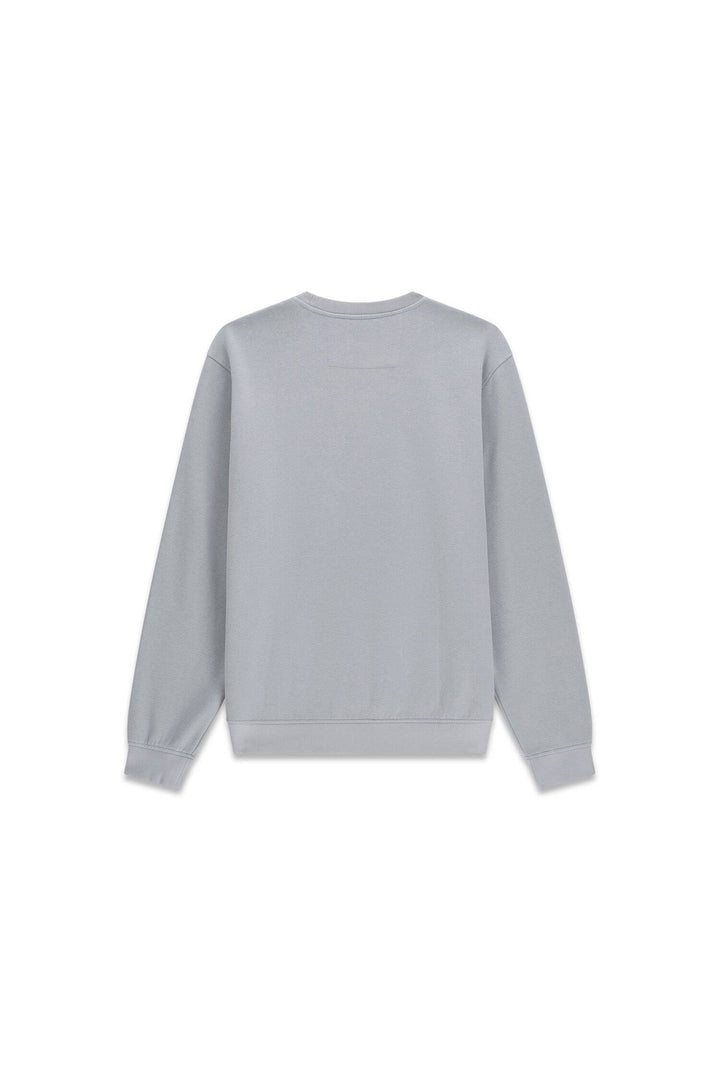 CN CLASSIC LOGO SWEATSHIRT, SILVER MOONLIGHT G9B2 Bild 2