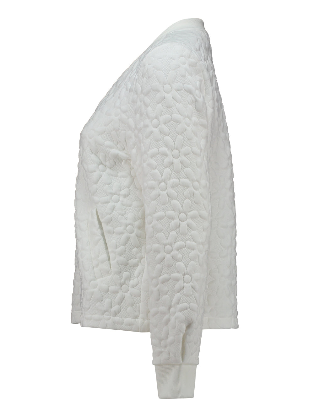 LS P JK Ke44ndra, offwhite flower 286 Bild 2