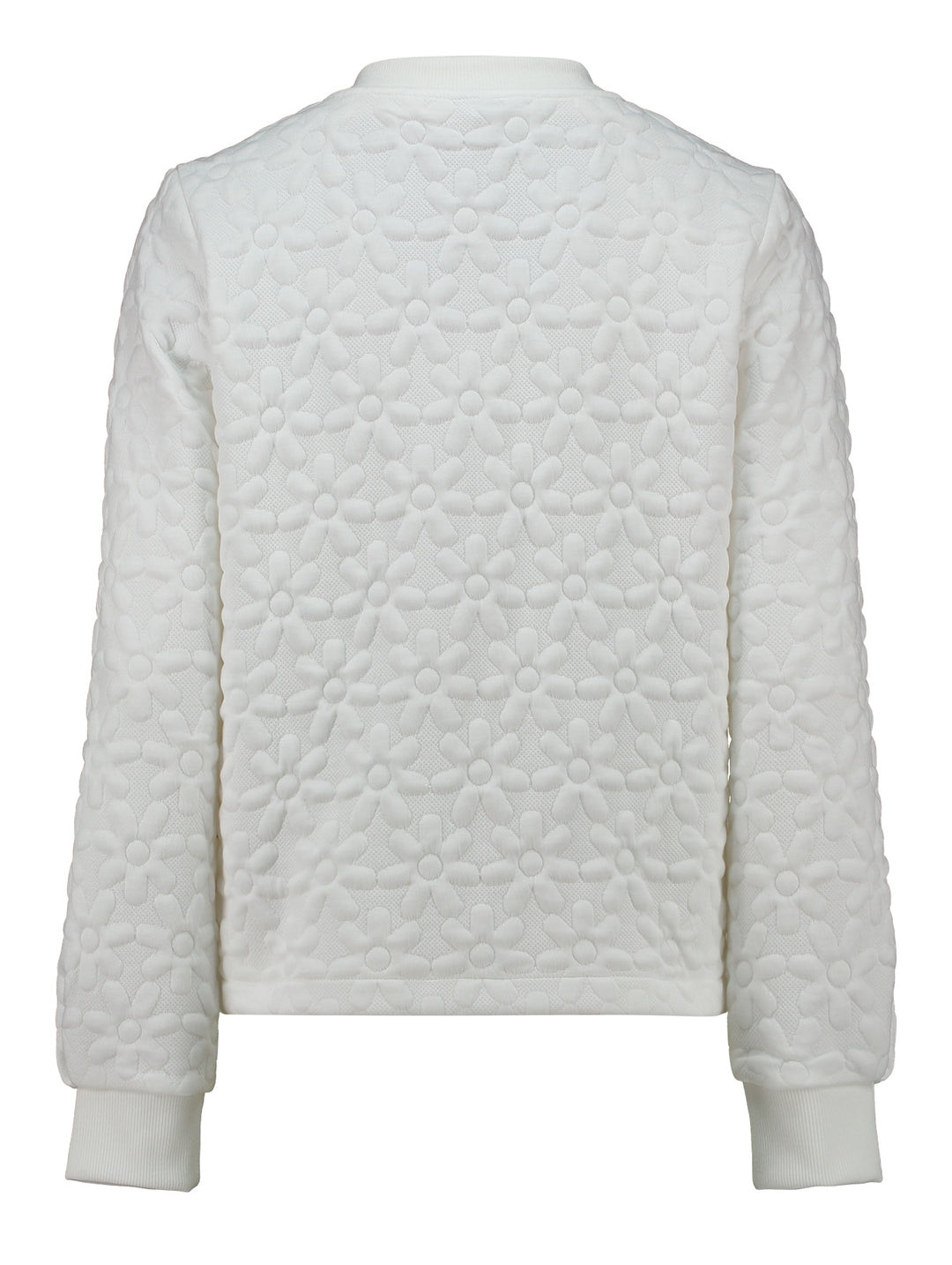 LS P JK Ke44ndra, offwhite flower 286 Bild 3