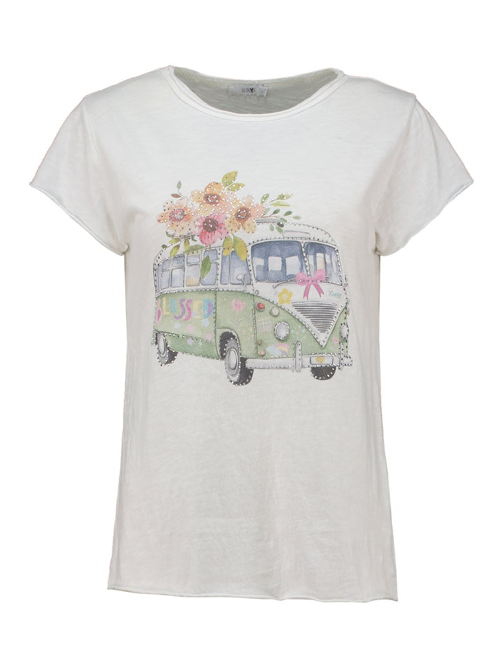 SS C TP Sv44enja, 8981 matcha bus 195955 Bild 1