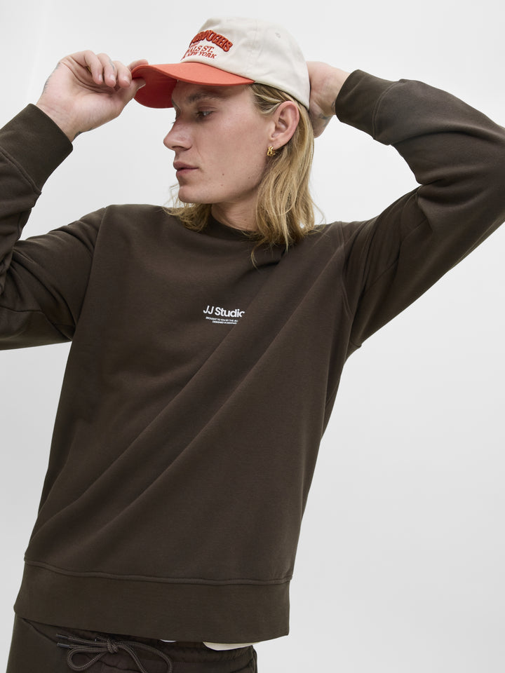 JJESOHO SWEAT CREW NECK NOOS, Delicioso 176190 Bild 4