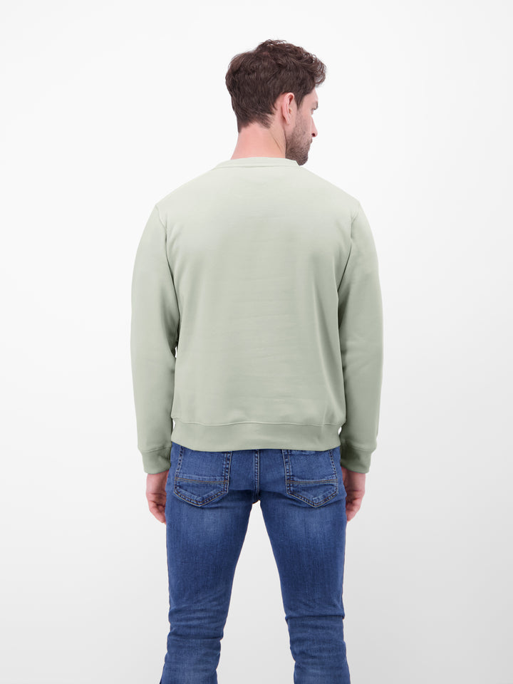 SWEATSHIRT/TROYER/RH/V-NE, PEARL GREY 120 Bild 4