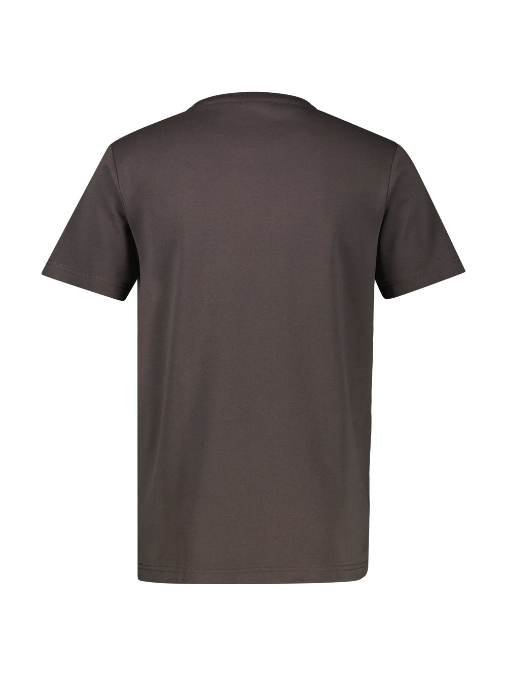 T-SHIRT/SERAFINO 1/2 ARM, TIMBER BROWN 787 Bild 2