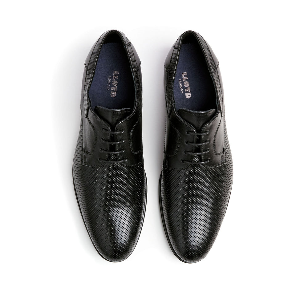 LEVIN, SCHWARZ 0 Bild 2