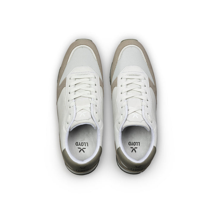SWIFT, TAUPE/OFFWHITE/SALBEI 2 Bild 3