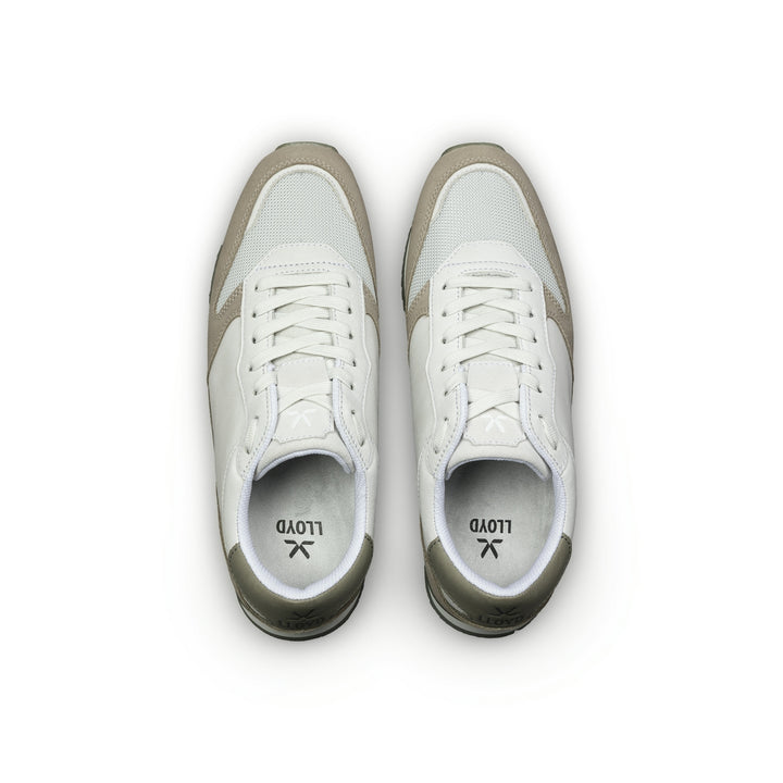 SWIFT, TAUPE/OFFWHITE/SALBEI 2 Bild 6