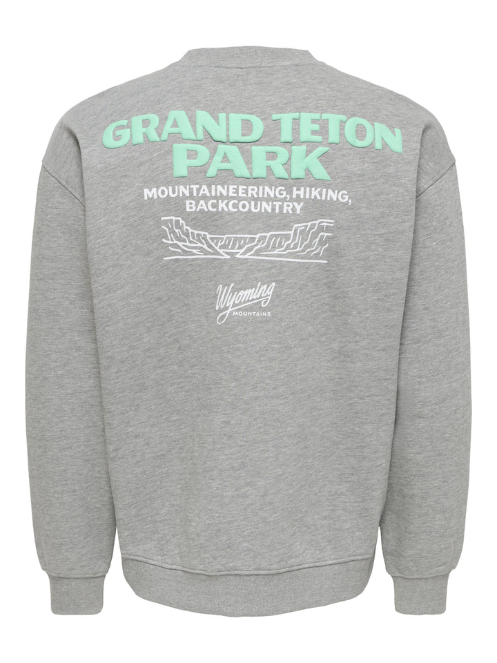 ONSBEJMO MORITS RLX LS CREW NECK, Dark Grey Melange/GRAND TETON 187192002 Bild 2