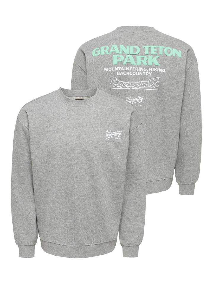 ONSBEJMO MORITS RLX LS CREW NECK, Dark Grey Melange/GRAND TETON 187192002 Bild 4