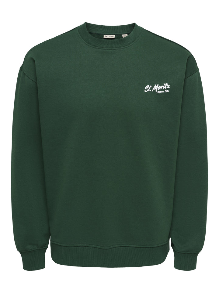 ONSBEJMO MORITS RLX LS CREW NECK, Pine Grove/ST.MORITZ 206190001 Bild 1