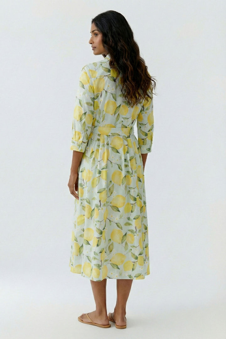 Kleid, lt green yellow 0602 Bild 7