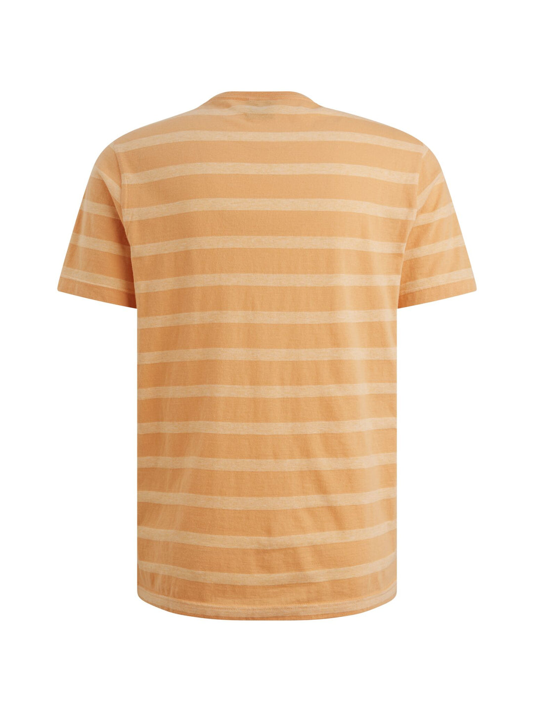 Short sleeve r-neck new stripe, Gold Earth 2015 Bild 2